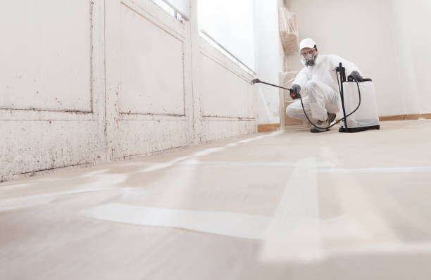 24/7 Emergency Attic Mold Remediation experts in Pennsylvania, PA